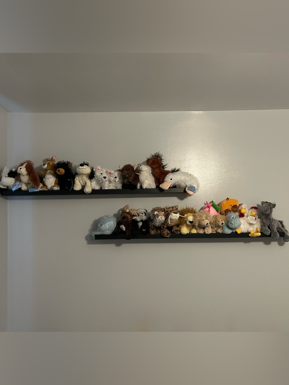 Webkinz/Lil’Kinz Plush Lot - Some NWT